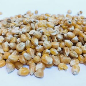 Mini Maize