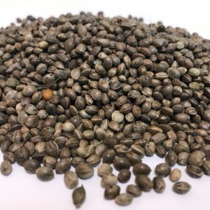 Hemp seed